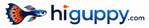 higuppy.com