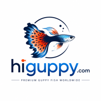 HiGuppy