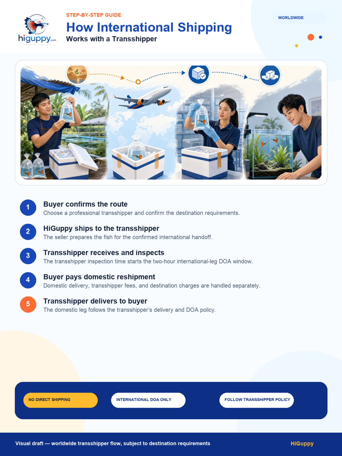 HiGuppy international transshipper shipping flow from Vietnam seller to transshipper to buyer